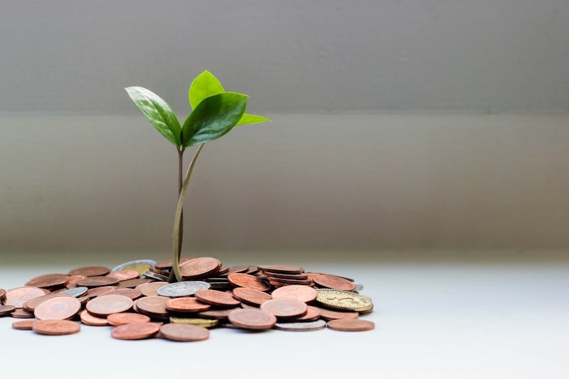 Investment Structuring